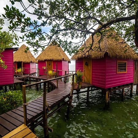 Urraca Monkey Island Eco Resort (Adults Only) Punta Laurel Eksteriør bilde
