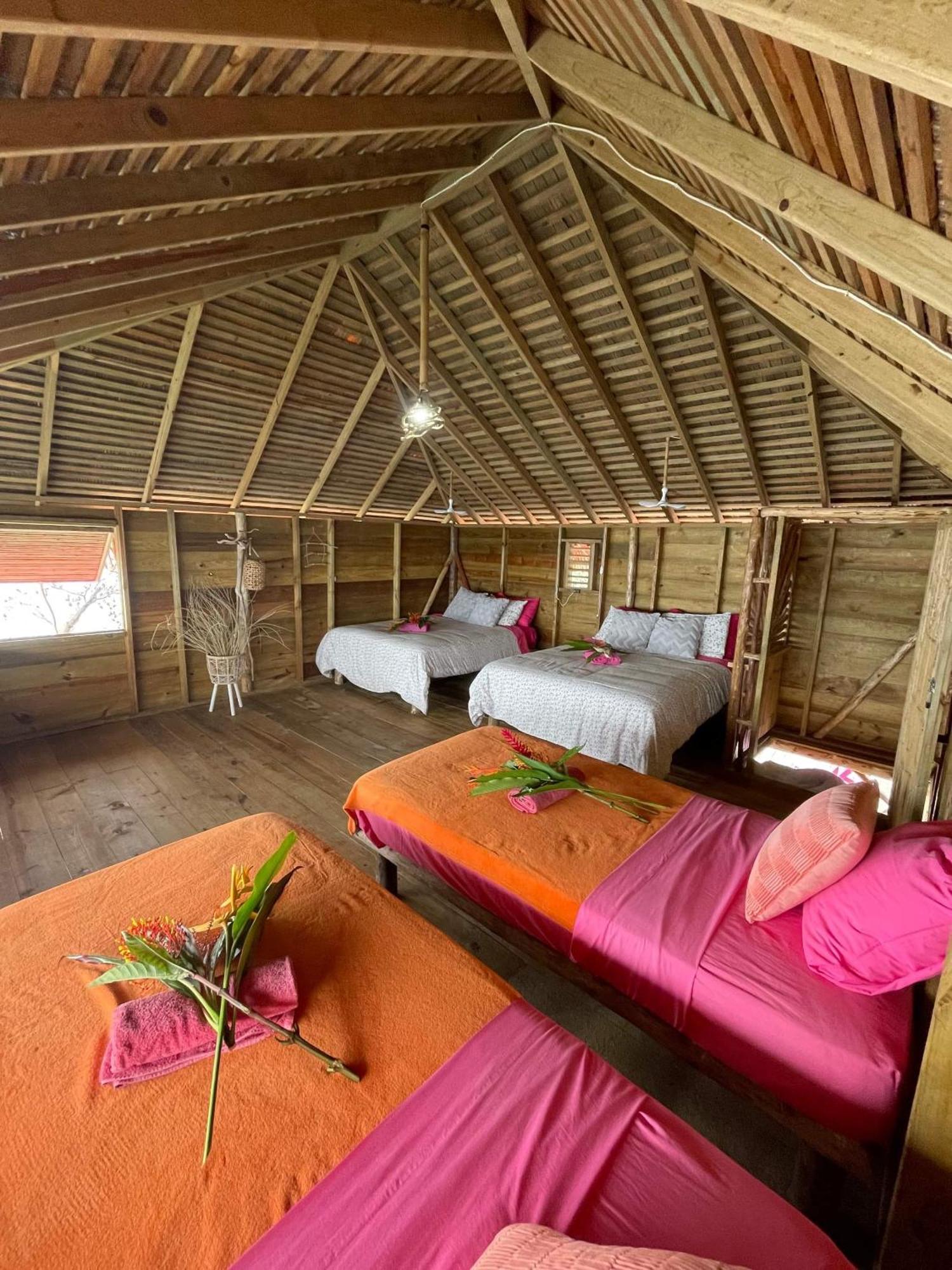 Urraca Monkey Island Eco Resort (Adults Only) Punta Laurel Eksteriør bilde