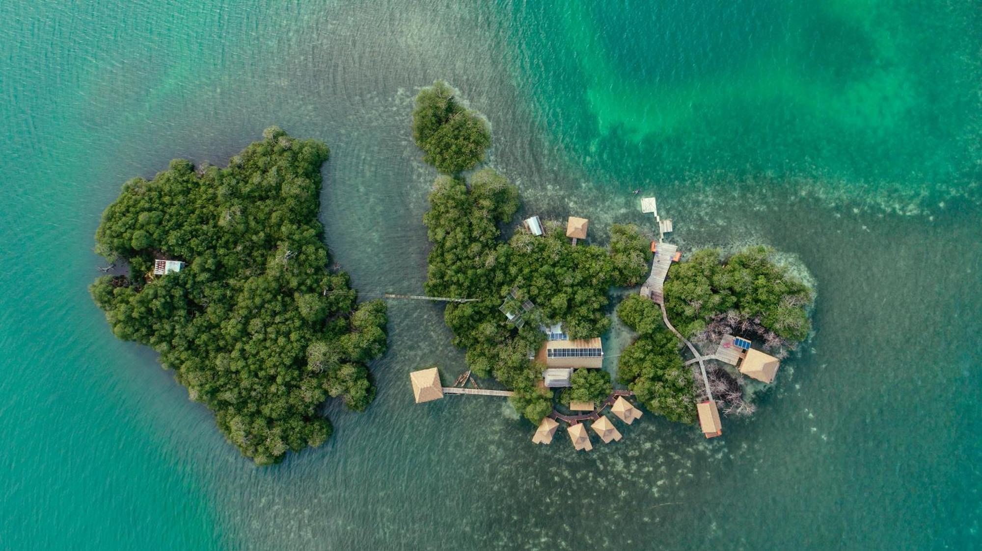 Urraca Monkey Island Eco Resort (Adults Only) Punta Laurel Eksteriør bilde