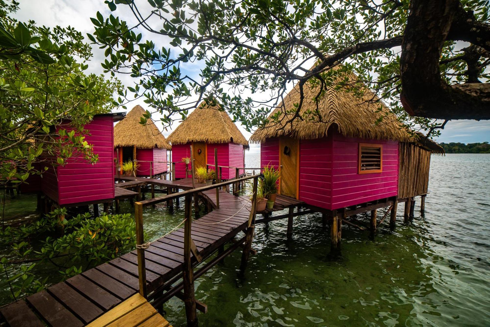 Urraca Monkey Island Eco Resort (Adults Only) Punta Laurel Eksteriør bilde