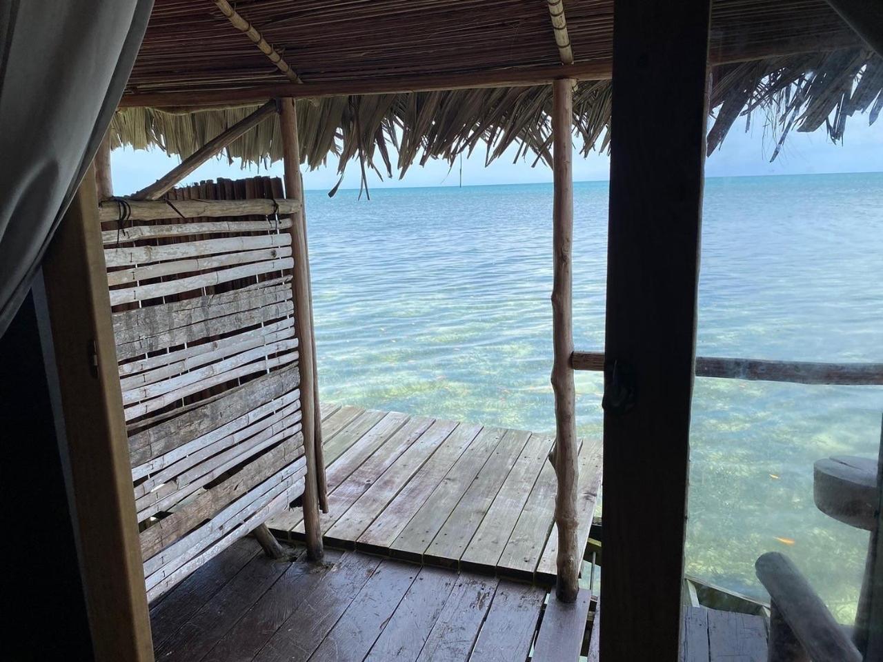 Urraca Monkey Island Eco Resort (Adults Only) Punta Laurel Eksteriør bilde