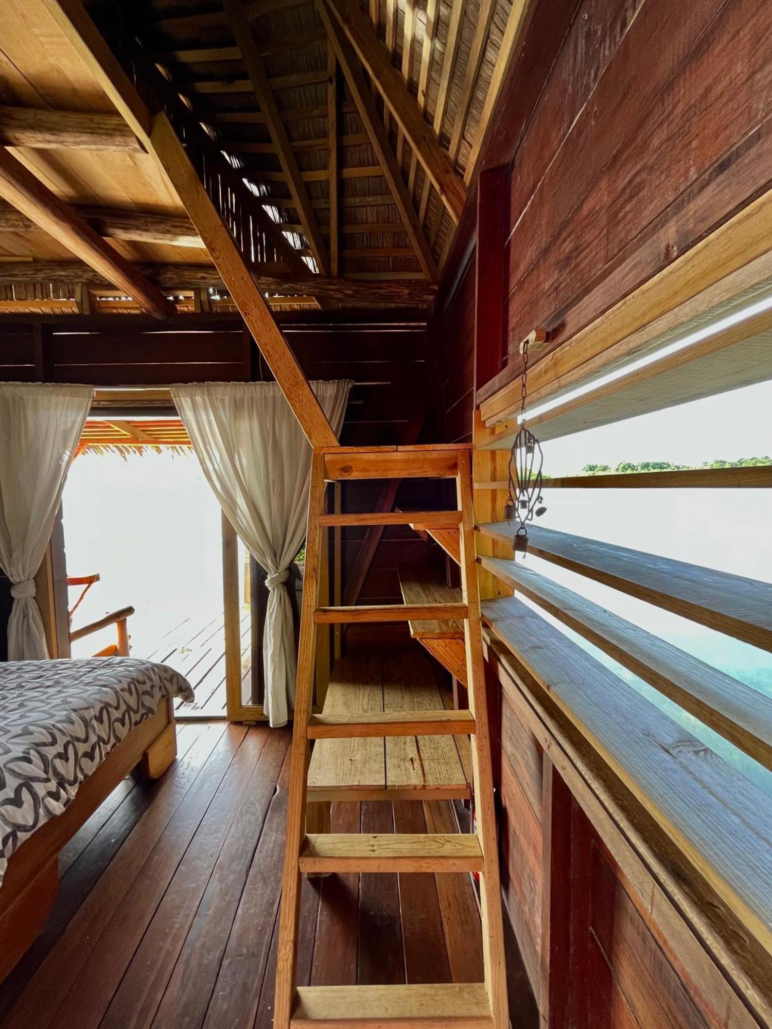 Urraca Monkey Island Eco Resort (Adults Only) Punta Laurel Rom bilde