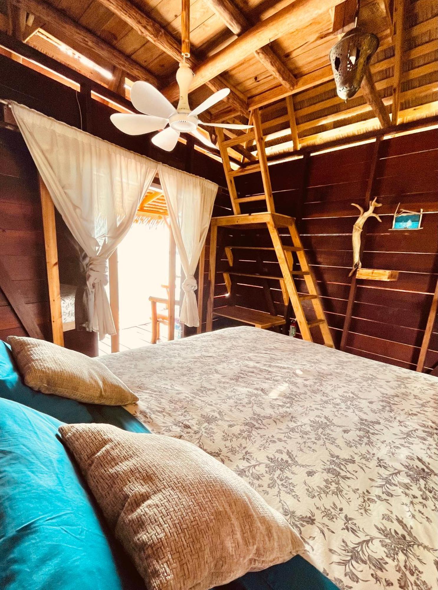 Urraca Monkey Island Eco Resort (Adults Only) Punta Laurel Rom bilde