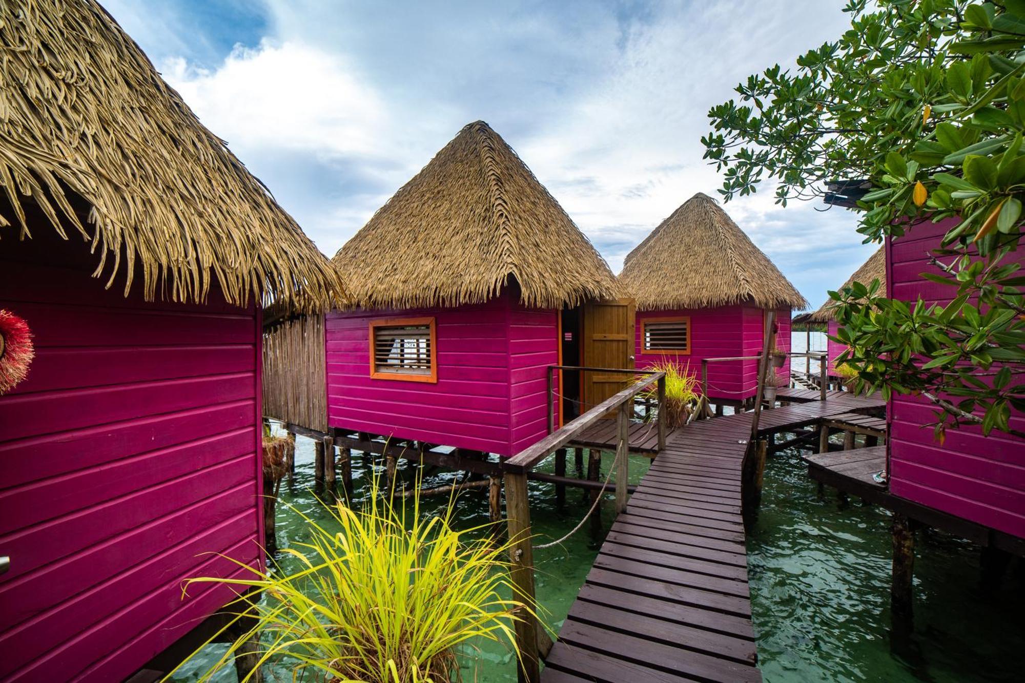 Urraca Monkey Island Eco Resort (Adults Only) Punta Laurel Eksteriør bilde