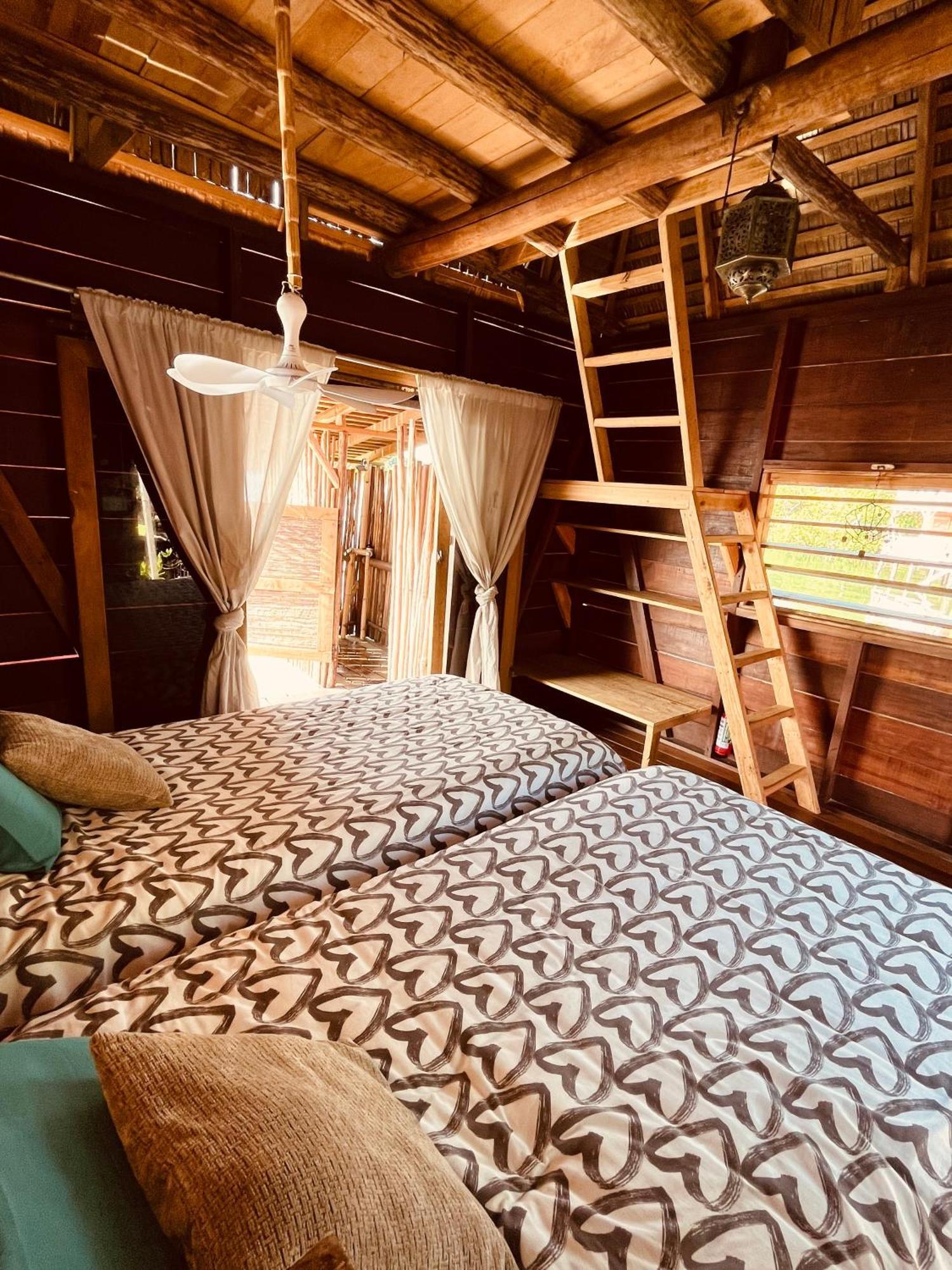 Urraca Monkey Island Eco Resort (Adults Only) Punta Laurel Rom bilde