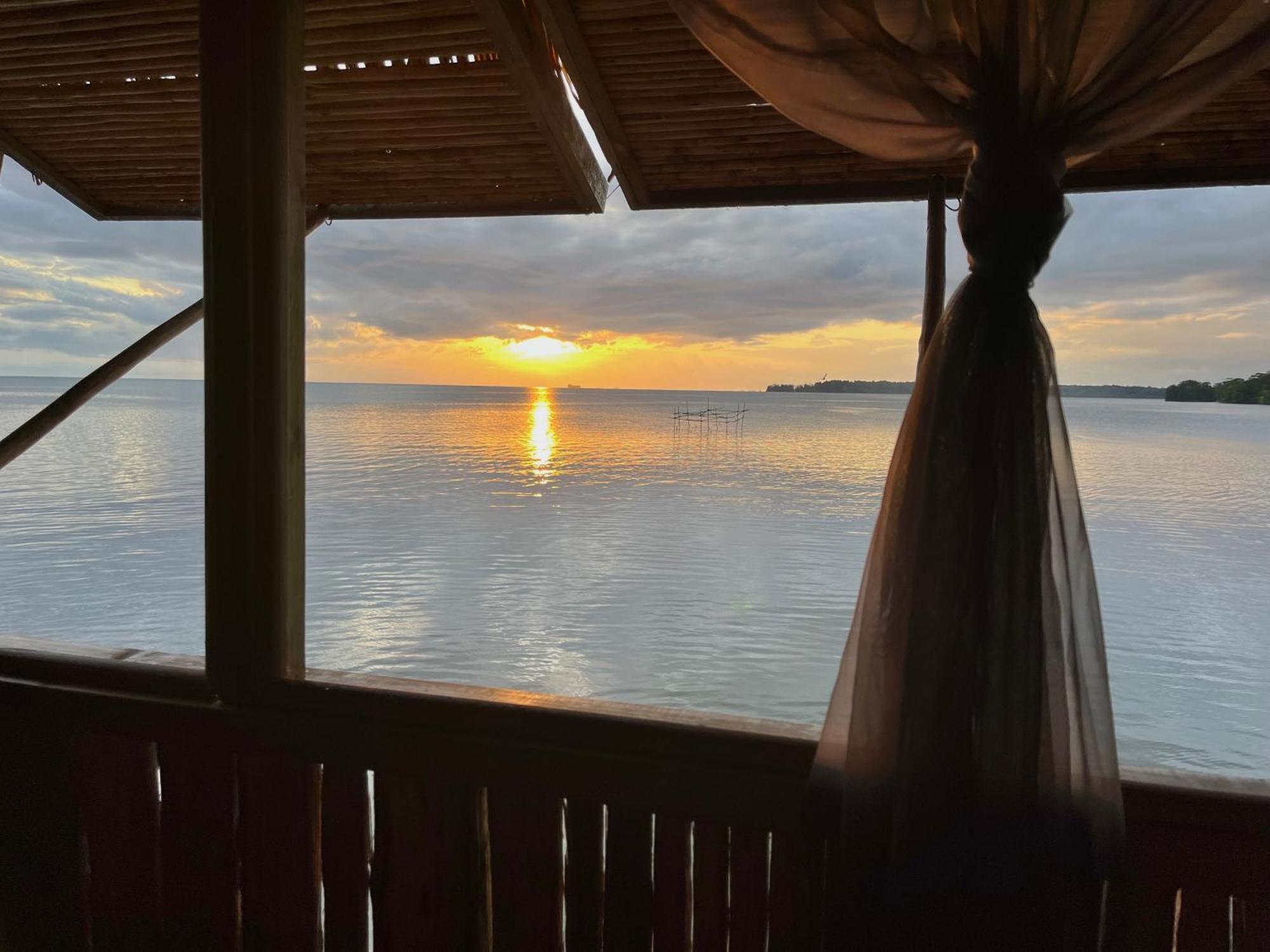 Urraca Monkey Island Eco Resort (Adults Only) Punta Laurel Rom bilde