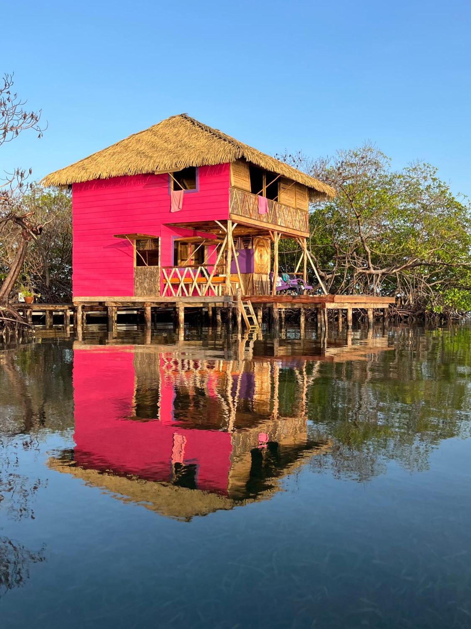 Urraca Monkey Island Eco Resort (Adults Only) Punta Laurel Rom bilde