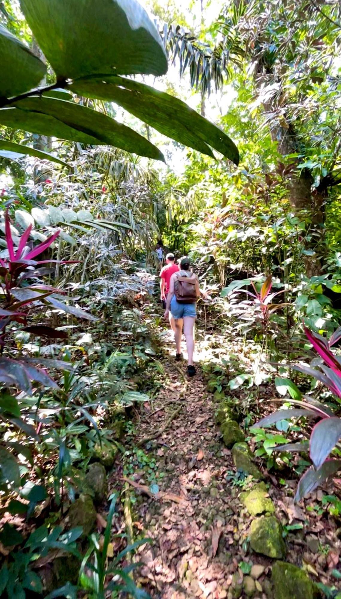 Urraca Monkey Island Eco Resort (Adults Only) Punta Laurel Eksteriør bilde