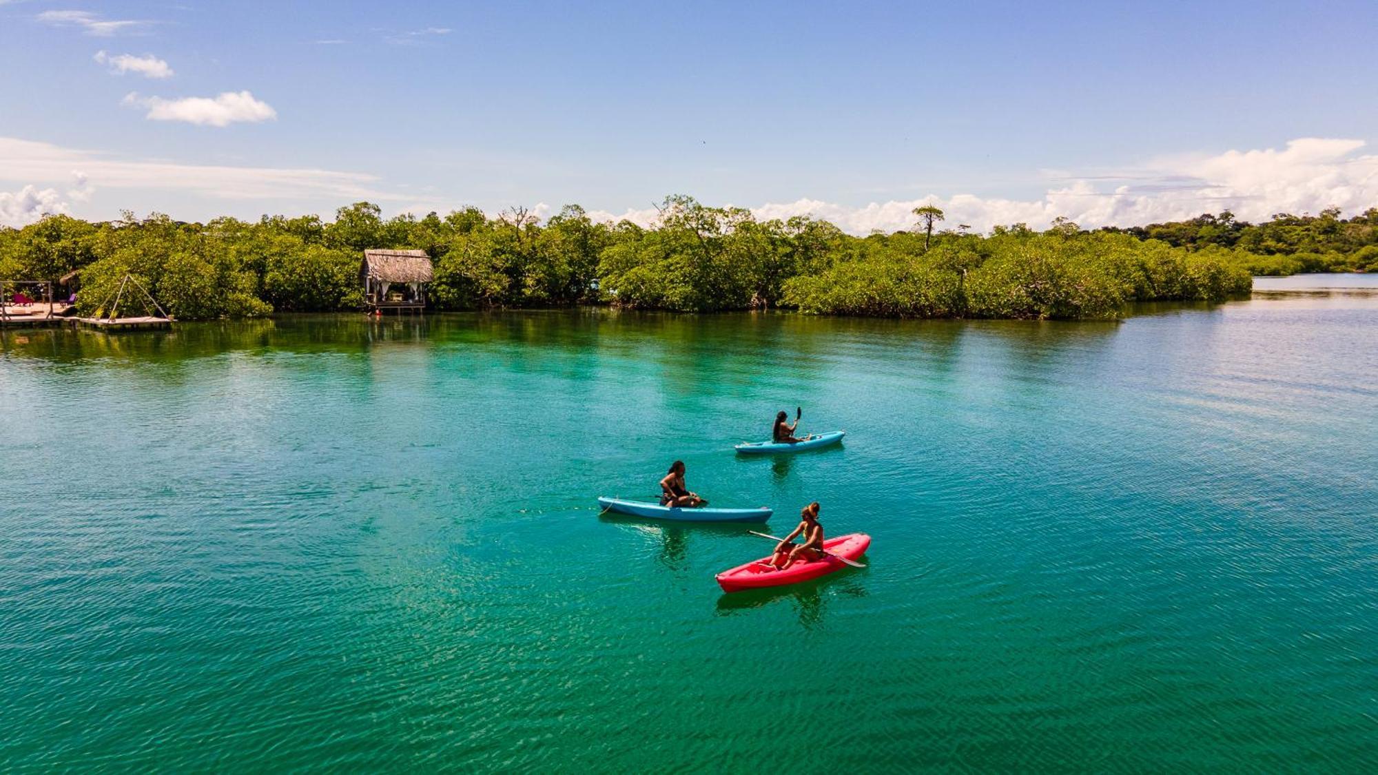 Urraca Monkey Island Eco Resort (Adults Only) Punta Laurel Eksteriør bilde