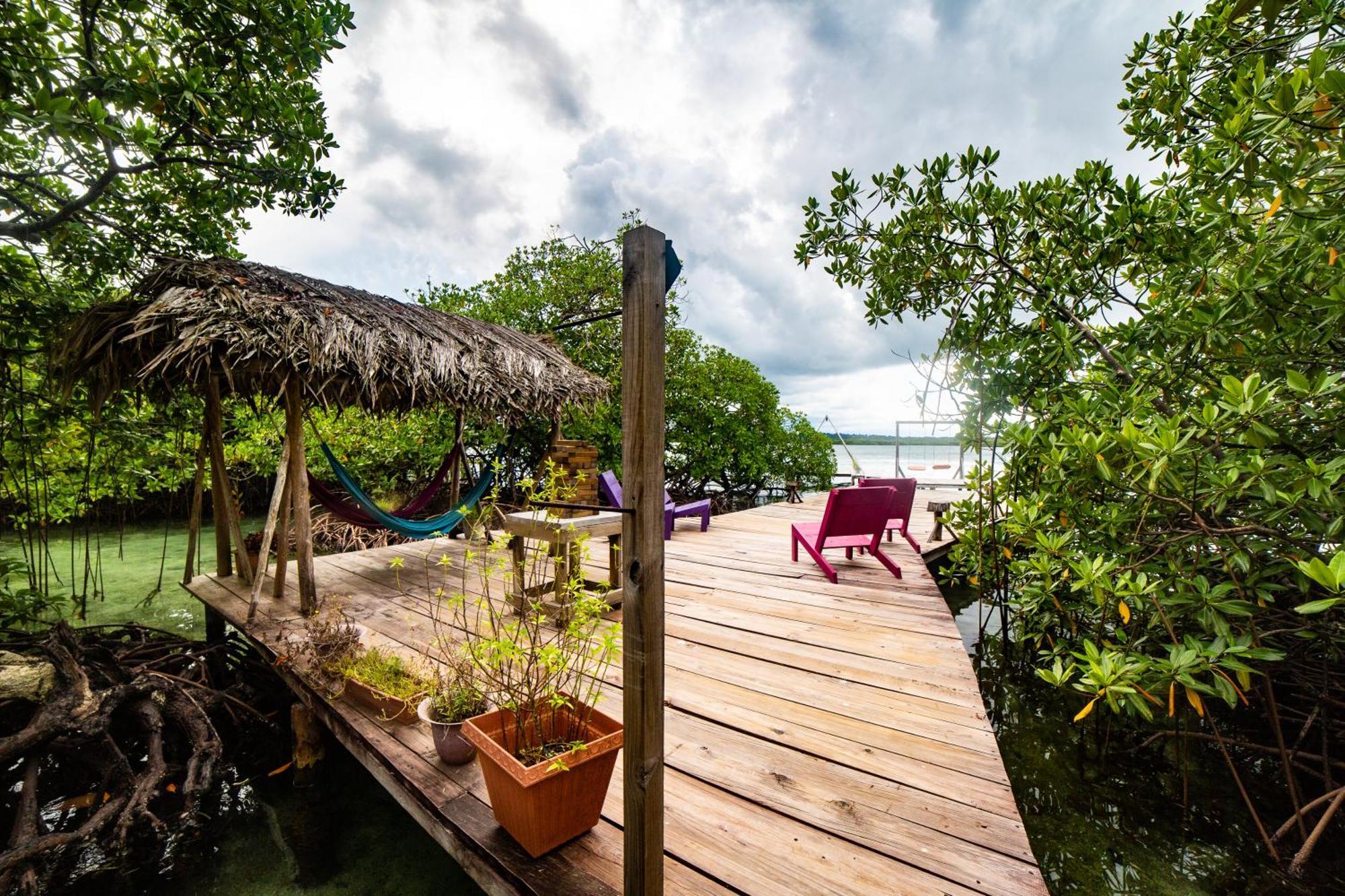 Urraca Monkey Island Eco Resort (Adults Only) Punta Laurel Eksteriør bilde